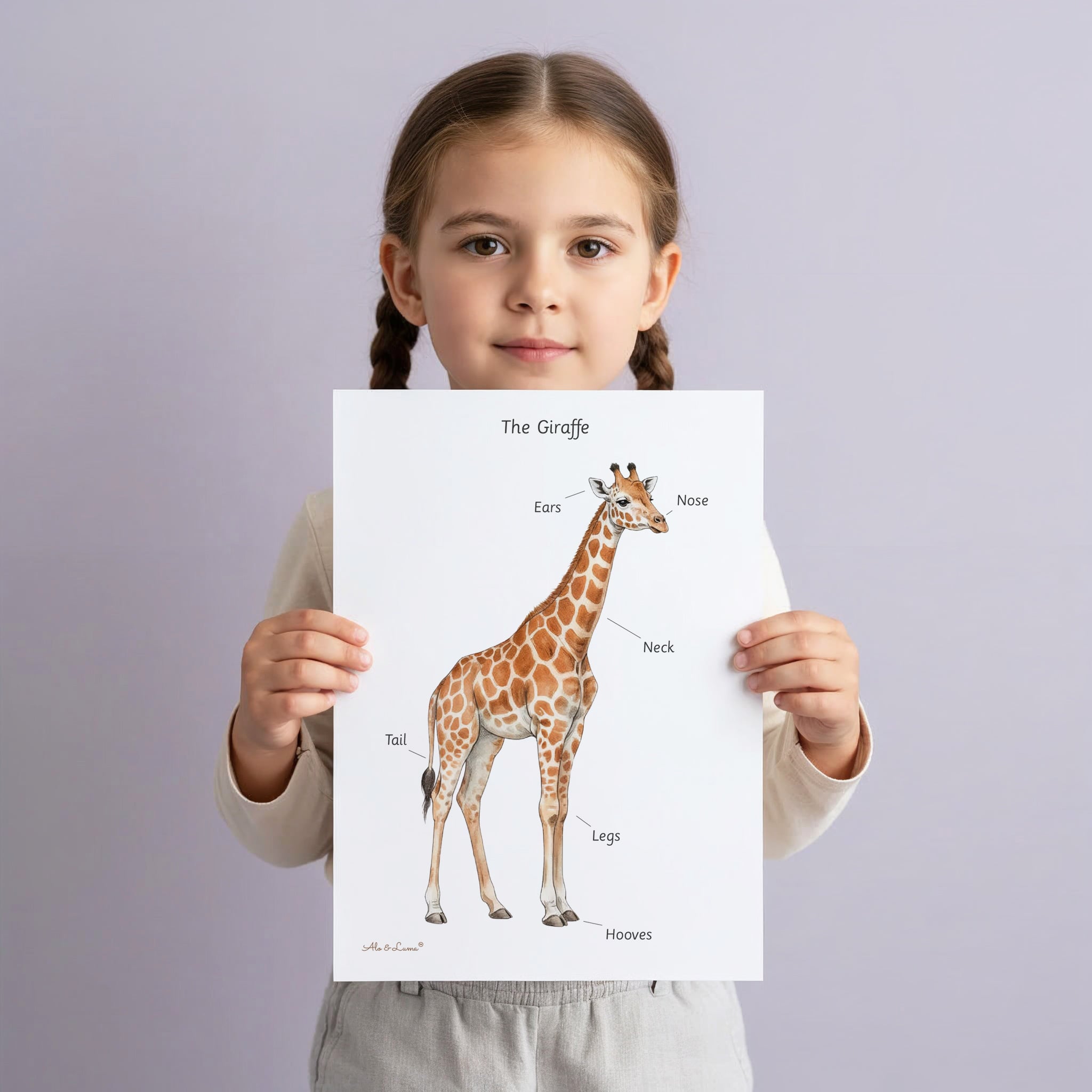 Child holding watercolor animal flashcards